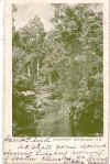 1908z.jpg (31707 bytes)