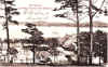 $(KGrHqIOKosE6ewdwFNEBOveT!v3nw~~60_3.JPG (149388 bytes)