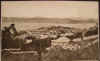 ert.jpg (23134 bytes)
