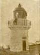 taiaroa.jpg (21251 bytes)