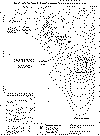hut point map1.gif (16166 bytes)