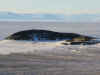 mcmurdo_hutpoint02.jpg (111832 bytes)