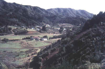 Photo0006.jpg (81274 bytes)