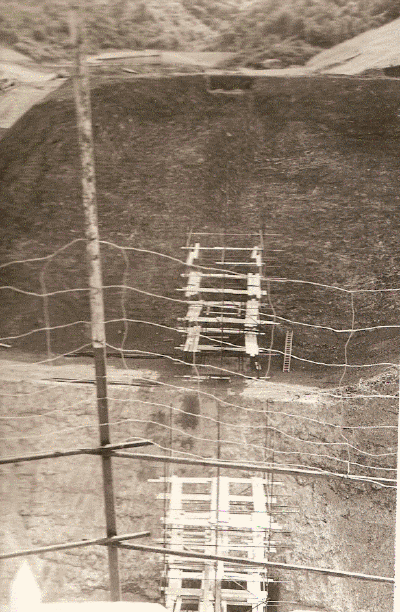 scan0050.gif (240261 bytes)