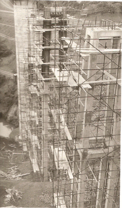 scan0052.gif (260860 bytes)