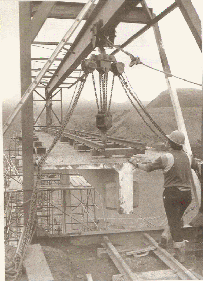 scan0057.gif (245845 bytes)