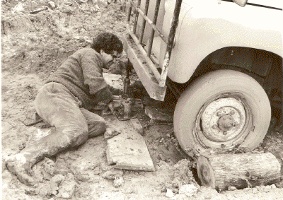 scan0075.gif (335450 bytes)