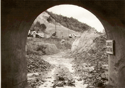 scan0082.gif (305447 bytes)